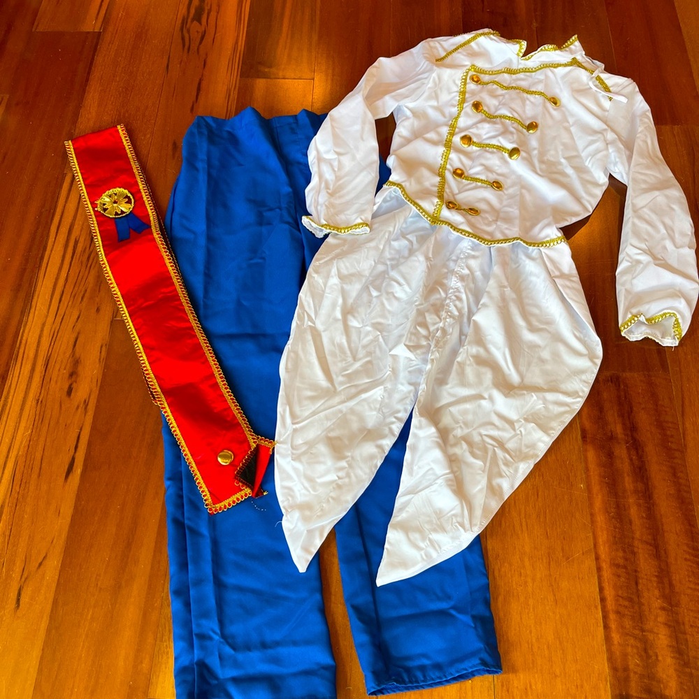 Prince Charming Costume